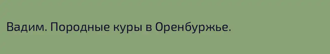 Вадим. Породные куры в Оренбуржье.